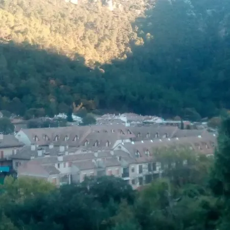 Ariosa