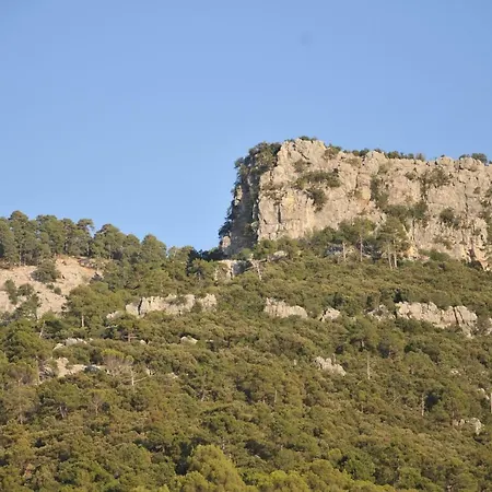 Ariosa * Arroyo Frio