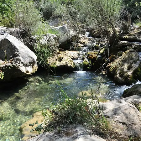 Ariosa Arroyo Frio